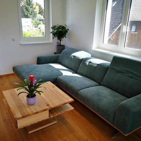 Spacy Apartment Next To The Center Of Graz With Terrasse 外观 照片