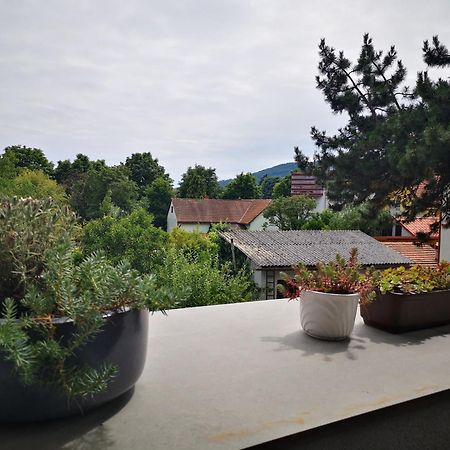 Spacy Apartment Next To The Center Of Graz With Terrasse 外观 照片