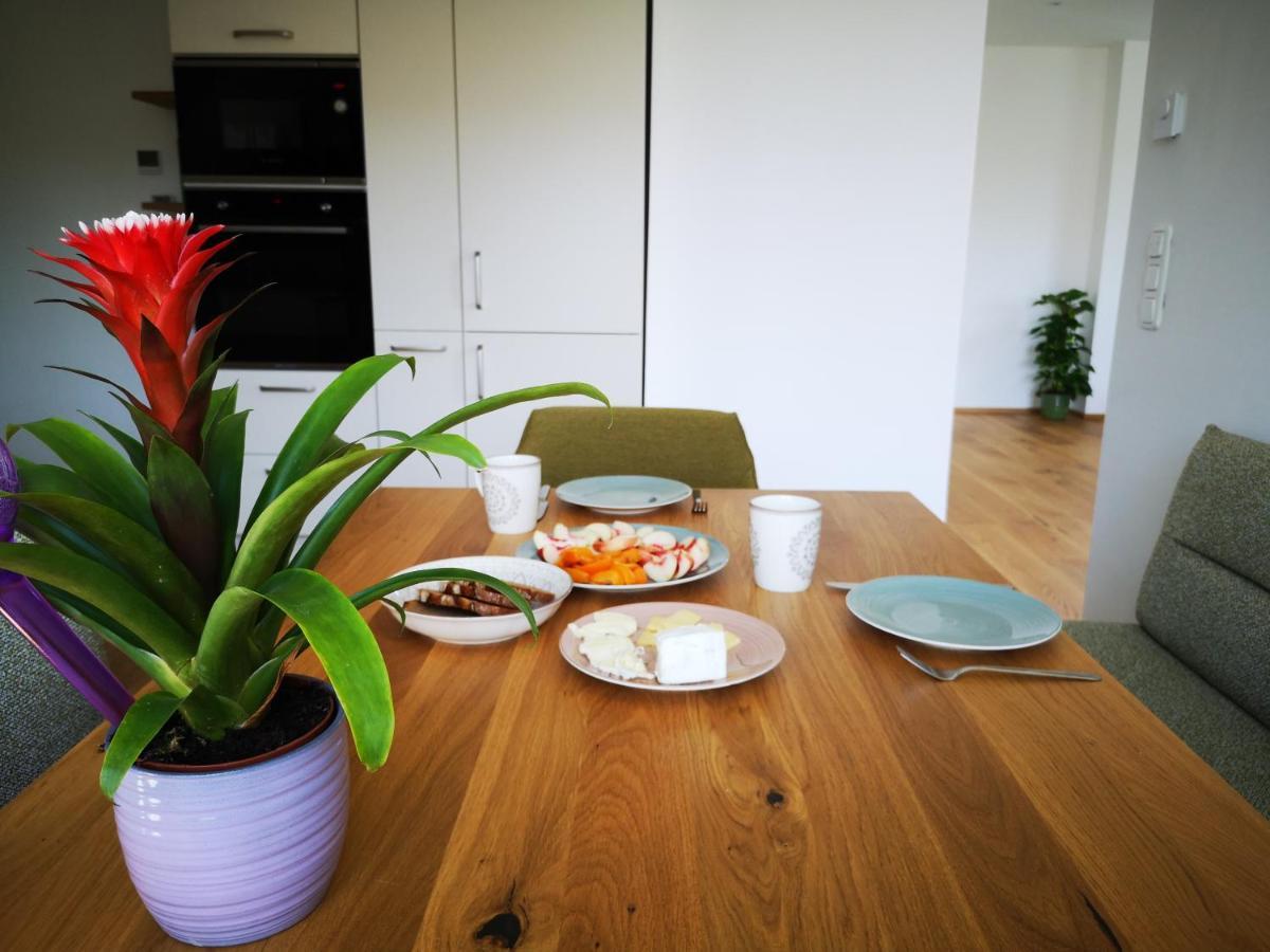 Spacy Apartment Next To The Center Of Graz With Terrasse 外观 照片