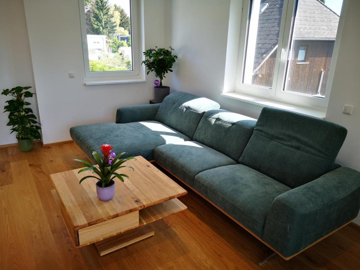 Spacy Apartment Next To The Center Of Graz With Terrasse 外观 照片