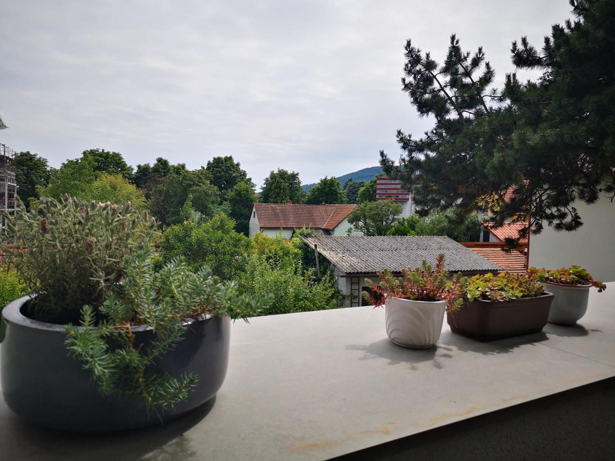Spacy Apartment Next To The Center Of Graz With Terrasse 外观 照片